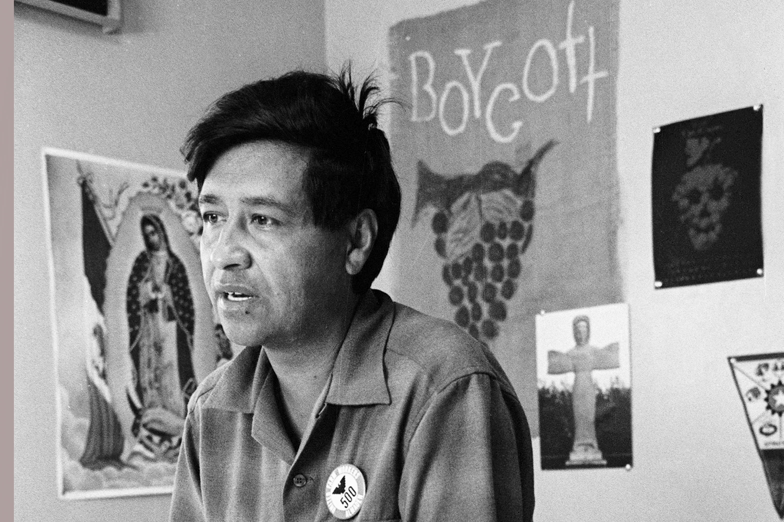 Cesar Chavez, a farm worker, labor organizer and leader of the California grape strike, is seen in a California works office in 1965.